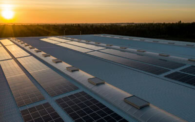 News 8 Significant boost for UK green industries with £960 million government investment and major power network reform