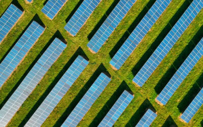 News 6 Grid connection and energy storage delays are holding up decarbonisation efforts MPs warn