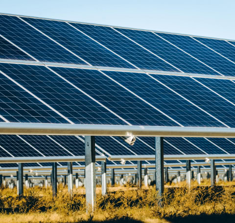 Close-up view of ground-mounted solar panels in a renewable energy farm, optimising sunlight capture for efficient power generation.