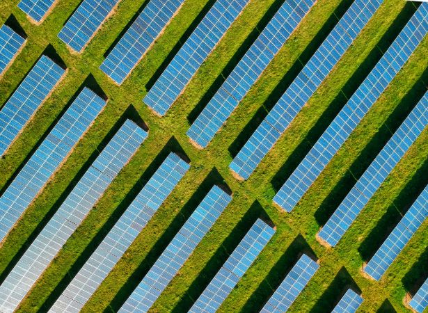 Aerial view of a large solar farm with rows of solar panels generating renewable energy. A key solution for businesses and landowners working towards Net Zero emissions with ARC Renewables.
